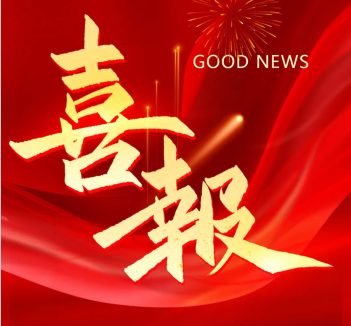 2025年2月 喜讯丨热烈祝贺红光电气集团荣登乐清市高质量发展各项榜单!